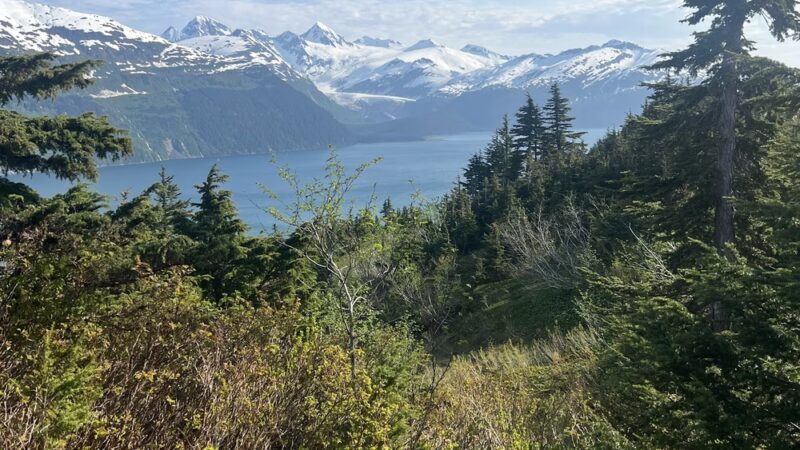 Horse Tail Falls Trail - Whittier, AK