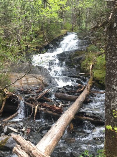 Emerald Cove Trail - Whittier, AK