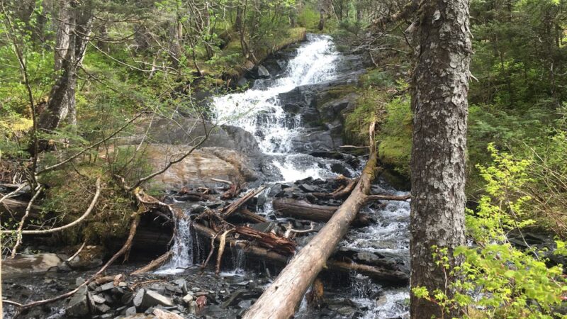 Emerald Cove Trail - Whittier, AK
