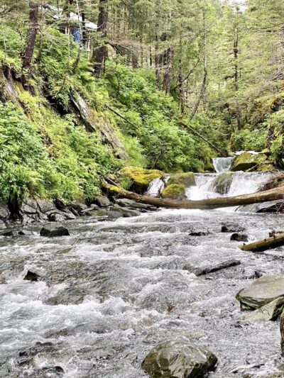Emerald Cove Trail - Whittier, AK
