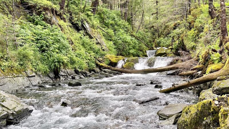 Emerald Cove Trail - Whittier, AK