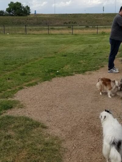 Dog Park - Wiggins, CO