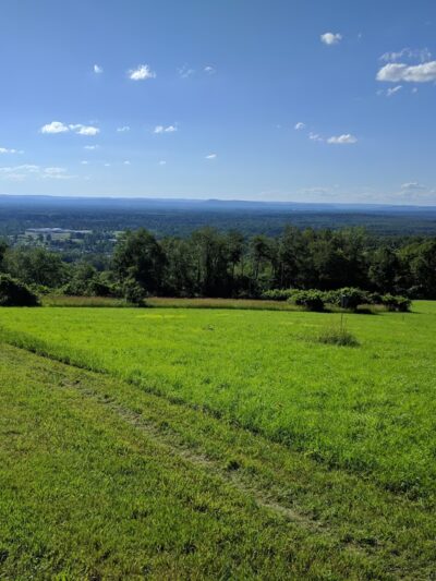Rice Preserve / Sunrise Peak Trailwalk - Wilbraham, MA