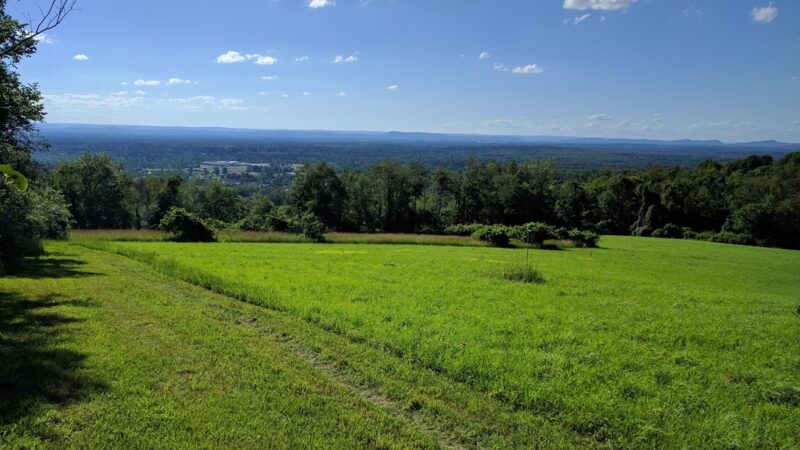 Rice Preserve / Sunrise Peak Trailwalk - Wilbraham, MA