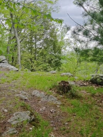 Rice Preserve / Sunrise Peak Trailwalk - Wilbraham, MA