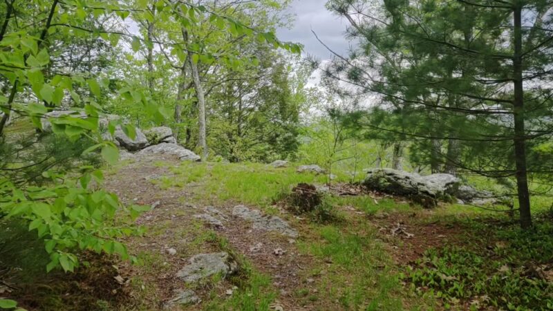Rice Preserve / Sunrise Peak Trailwalk - Wilbraham, MA