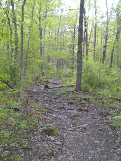 Rice Preserve / Sunrise Peak Trailwalk - Wilbraham, MA
