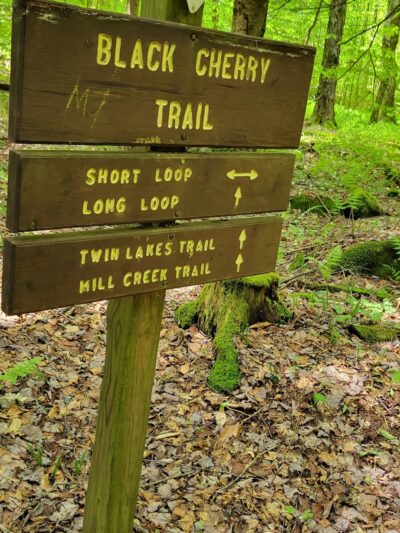Black Cherry National Recreation Interpretive Trail - Trailhead - Wilcox, PA