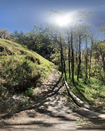 Waters Creek Natural Area And Trails - Wilderville, OR