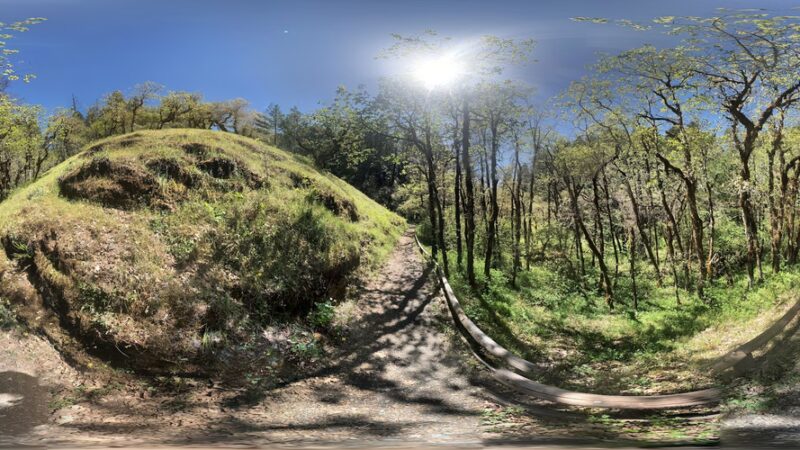 Waters Creek Natural Area And Trails - Wilderville, OR