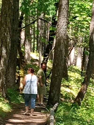 Waters Creek Natural Area And Trails - Wilderville, OR