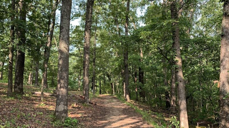 Green Rock Trail (South Trailhead) - Wildwood, MO