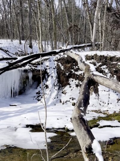 Green Rock Trail (South Trailhead) - Wildwood, MO
