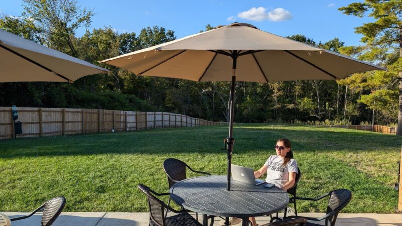 Lucky Dog Central - Wildwood, MO