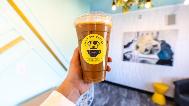 Lucky Dog Central - Wildwood, MO