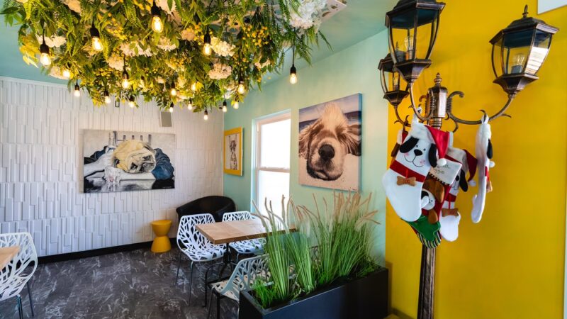 Lucky Dog Central - Wildwood, MO