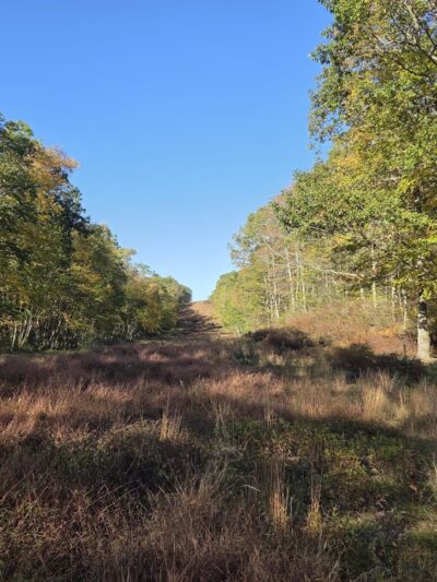 Bear creek hike - Wilkes-Barre, PA