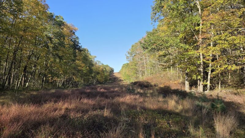 Bear creek hike - Wilkes-Barre, PA