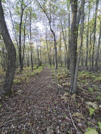 Bear creek hike - Wilkes-Barre, PA