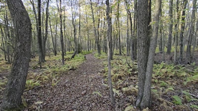 Bear creek hike - Wilkes-Barre, PA
