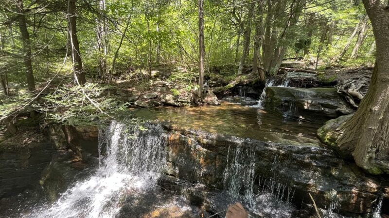 Bear creek hike - Wilkes-Barre, PA