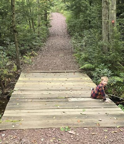 Bear creek hike - Wilkes-Barre, PA