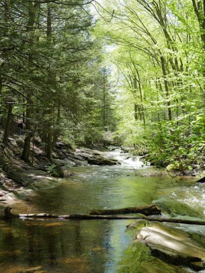 Bear creek hike - Wilkes-Barre, PA