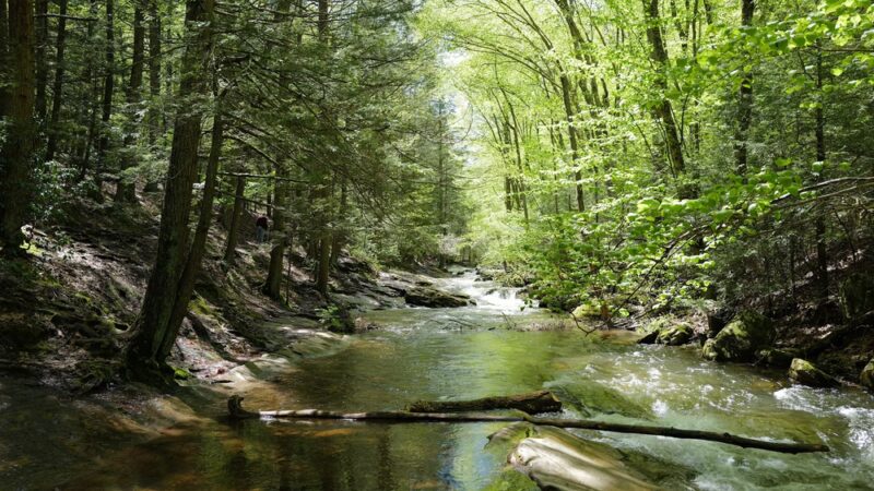Bear creek hike - Wilkes-Barre, PA