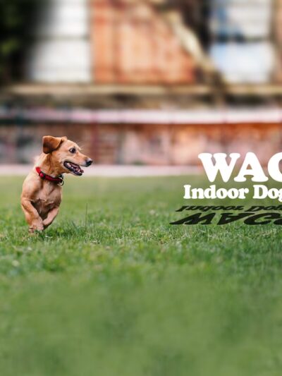 Wags Dog Park - Wilkes-Barre, PA