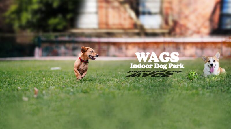 Wags Dog Park - Wilkes-Barre, PA