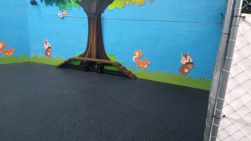 Wags Dog Park - Wilkes-Barre, PA