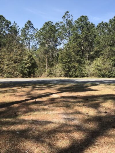 Willacoochee Park - Willacoochee, GA
