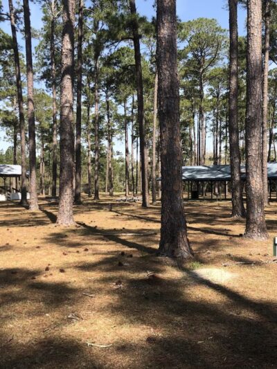 Willacoochee Park - Willacoochee, GA