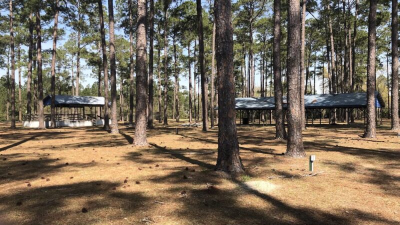 Willacoochee Park - Willacoochee, GA