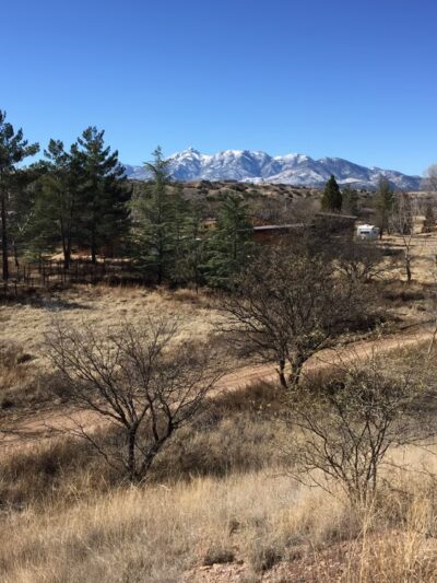 Willcox Community Center Park - Willcox, AZ