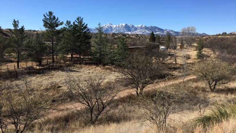 Willcox Community Center Park - Willcox, AZ