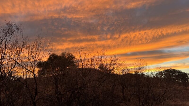 Willcox Community Center Park - Willcox, AZ