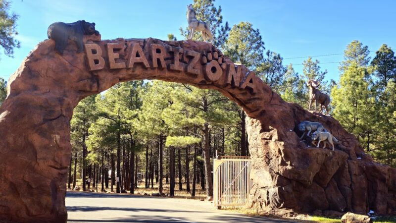 Bearizona Wildlife Park - Williams, AZ