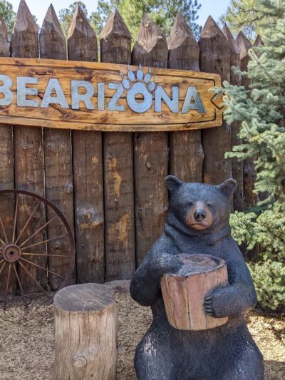 Bearizona Wildlife Park - Williams, AZ