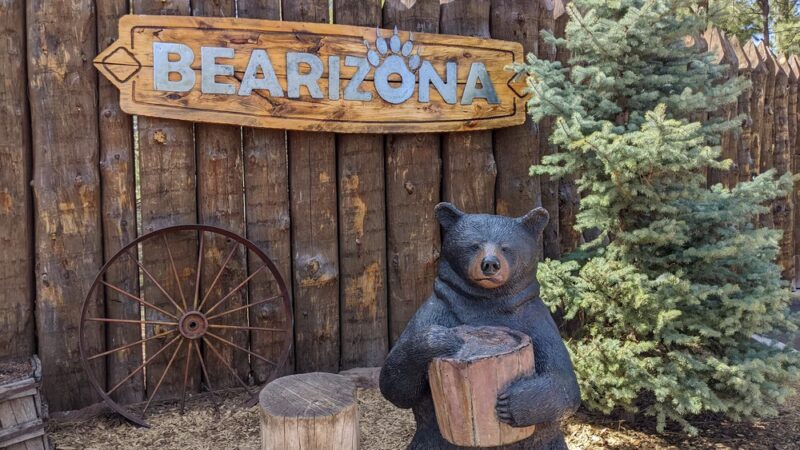 Bearizona Wildlife Park - Williams, AZ