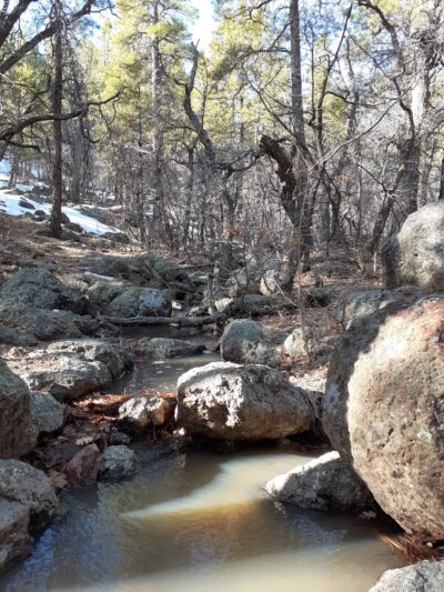 Buckskinner Park - Williams, AZ