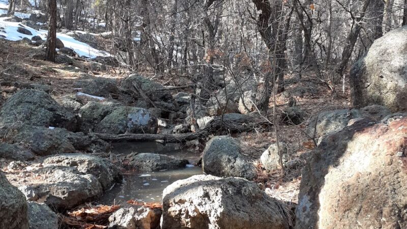 Buckskinner Park - Williams, AZ