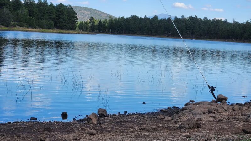 Kaibab Lake parking - Williams, AZ