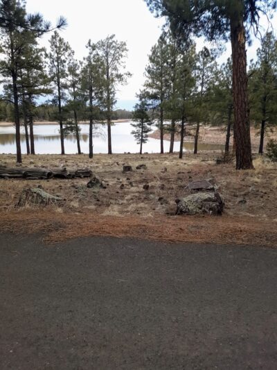 Kaibab Lake parking - Williams, AZ