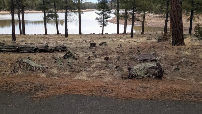 Kaibab Lake parking - Williams, AZ