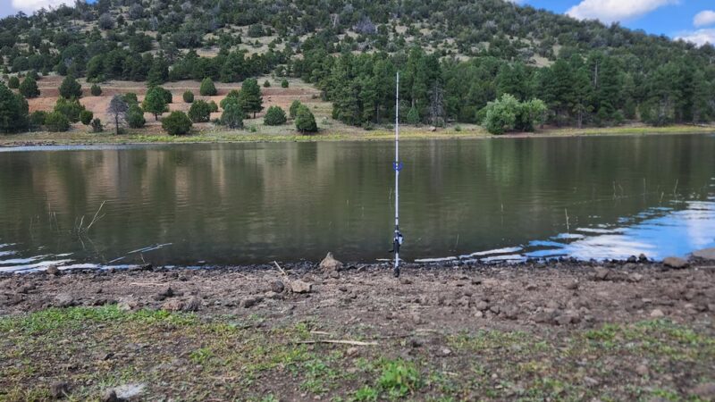 Kaibab Lake parking - Williams, AZ