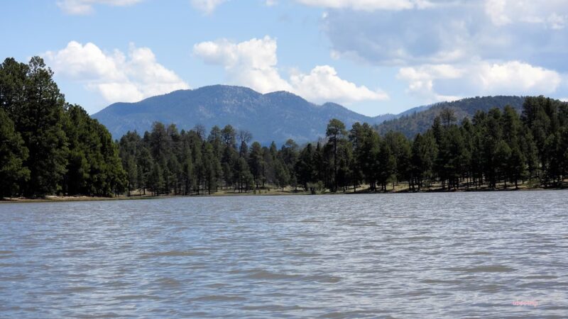 Kaibab Lake parking - Williams, AZ