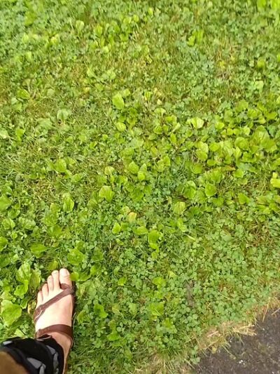 Wy Hit Tuk Park - Williams Township, PA