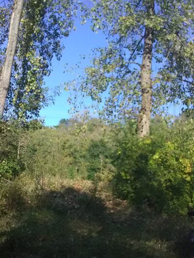 Cardinal Greenway Webster Trailhead - Williamsburg, IN