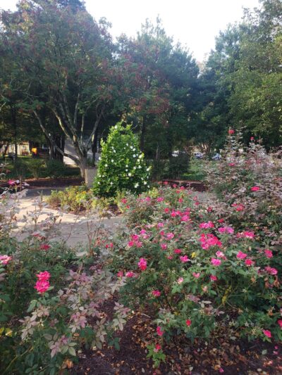Capitol Landing Community Park - Williamsburg, VA
